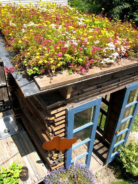 green roofed shed